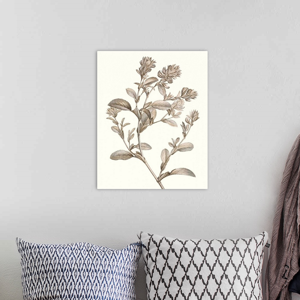 A bohemian room featuring Illustrated botanical study in neutral tones.