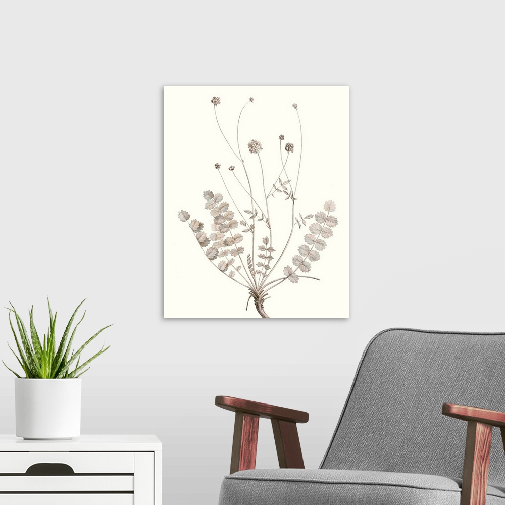A modern room featuring Illustrated botanical study in neutral tones.