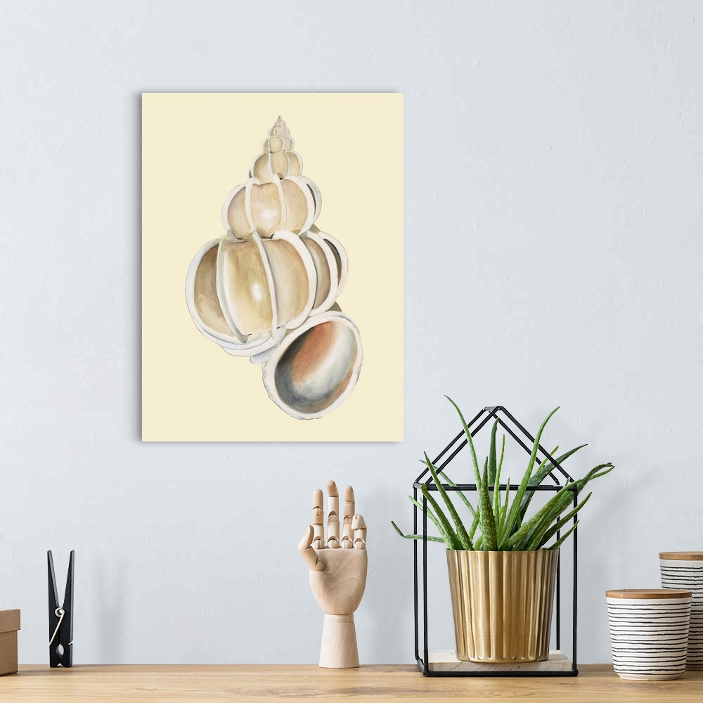 A bohemian room featuring Neutral-Toned Seashells II