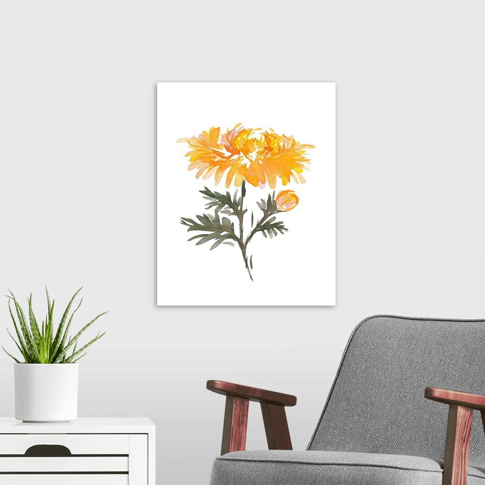 A modern room featuring November Chrysanthemum