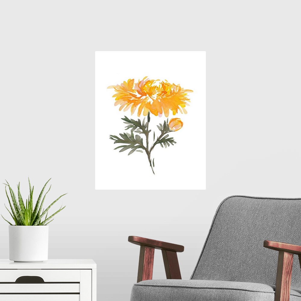 A modern room featuring November Chrysanthemum