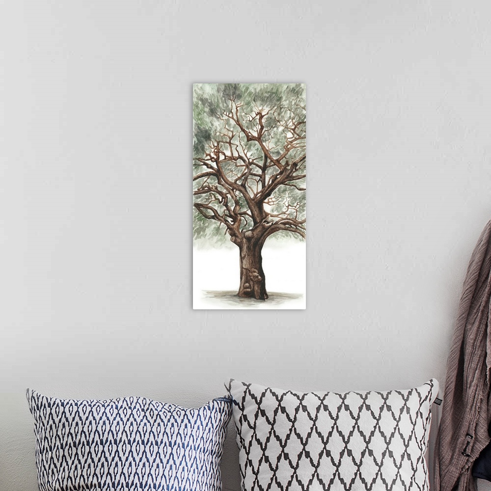 A bohemian room featuring Contemporary illustration of a tall, sturdy oak tree on white.