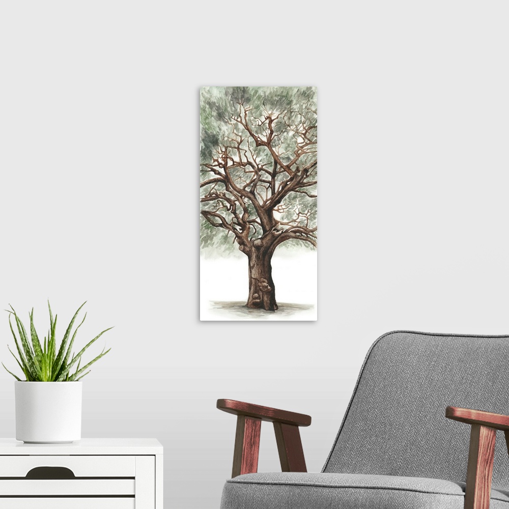 A modern room featuring Contemporary illustration of a tall, sturdy oak tree on white.
