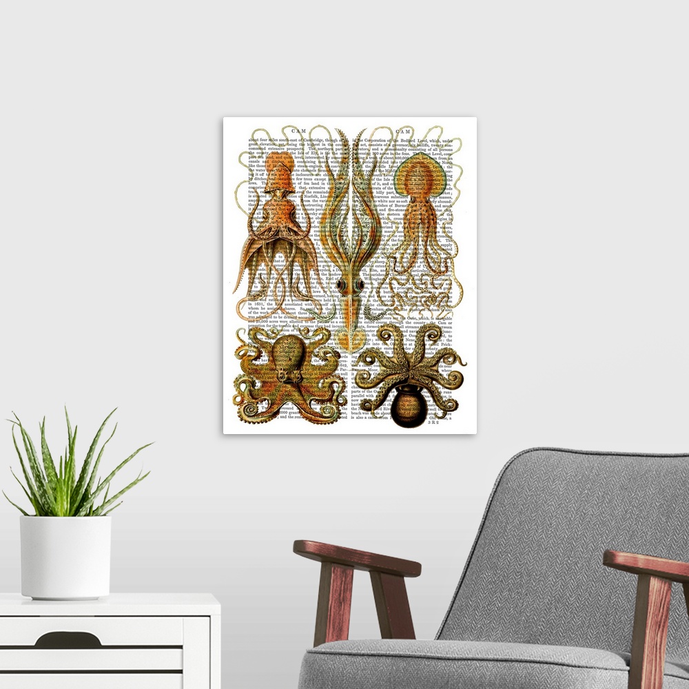 A modern room featuring Five varieties of squid and octopi painted over a vintage dictionary page.