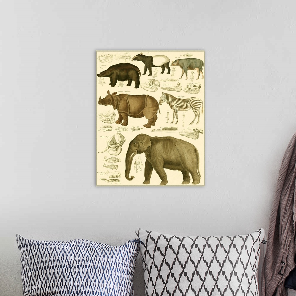 A bohemian room featuring Oken Elephant & Zebra
