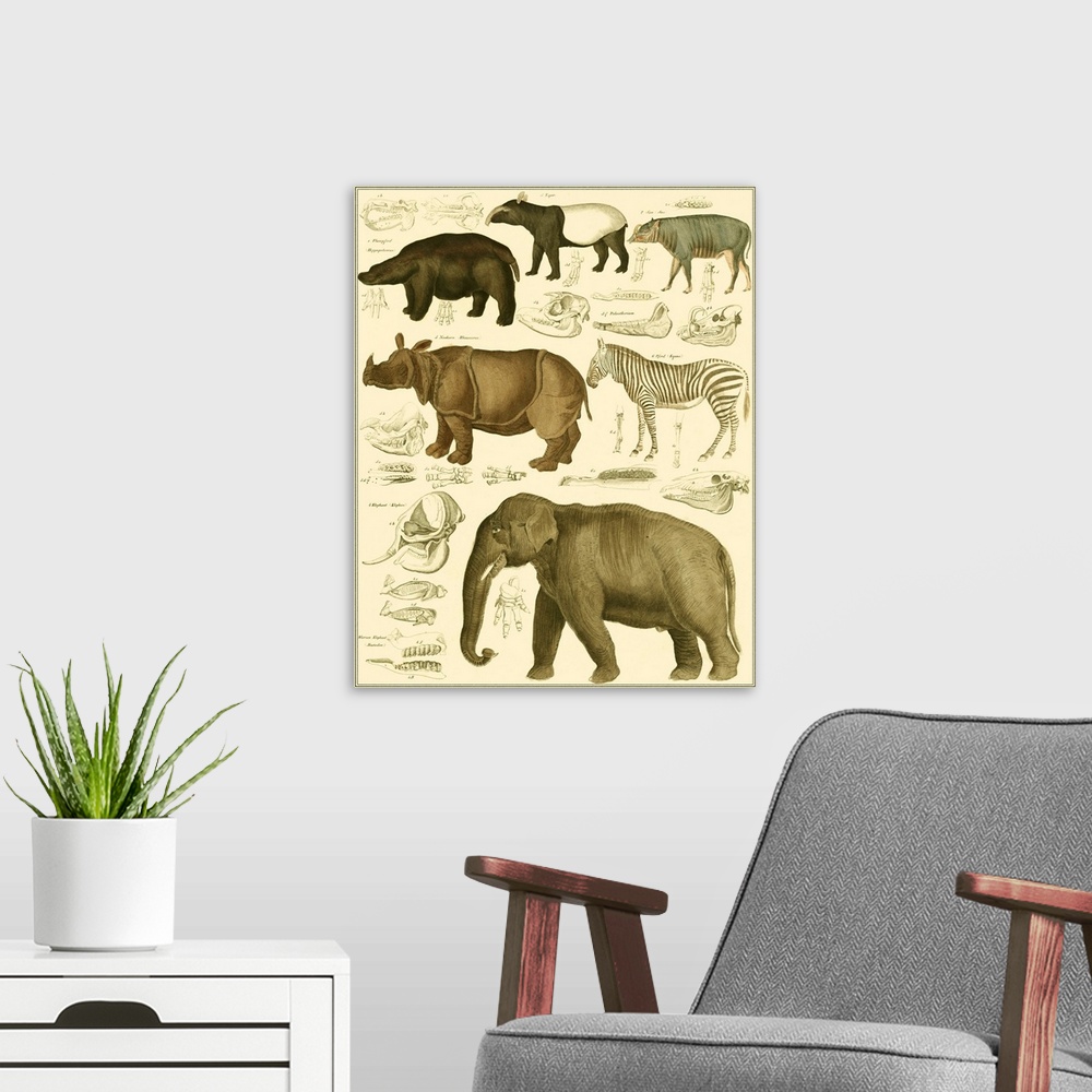 A modern room featuring Oken Elephant & Zebra