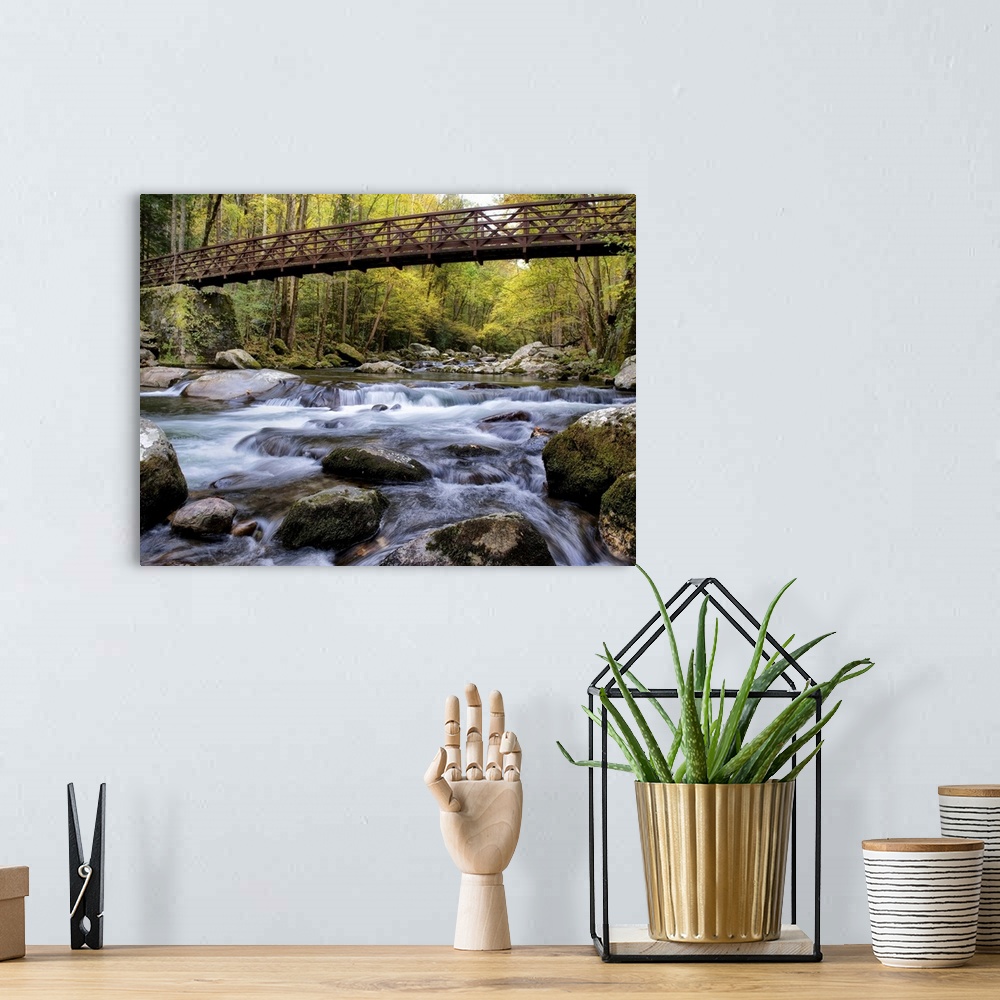 A bohemian room featuring Photograph of a rushing river flowing under a bridge in a dense forest.