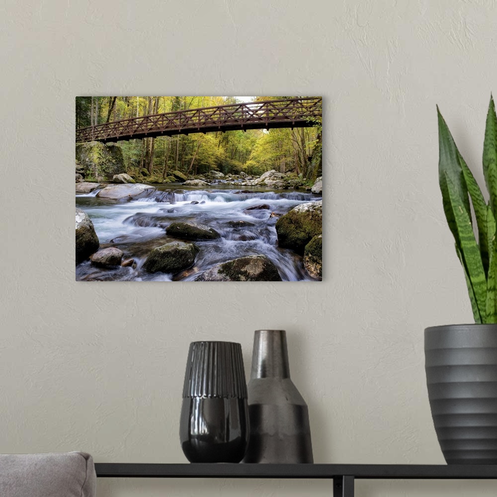 A modern room featuring Photograph of a rushing river flowing under a bridge in a dense forest.
