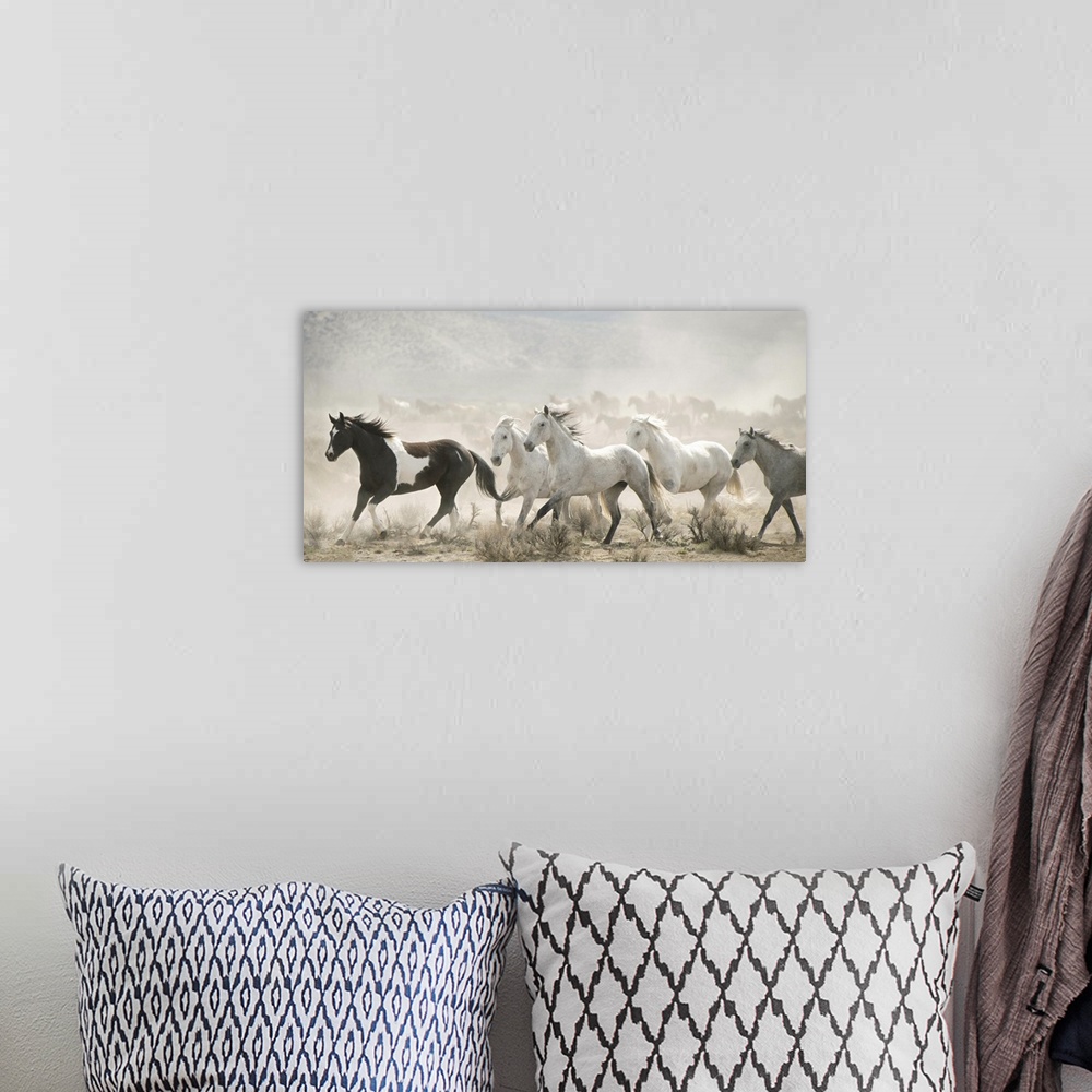 A bohemian room featuring Artistic photograph of wild horses running through a dry landscape kicking up dust into the air.