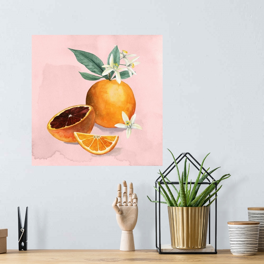 A bohemian room featuring Orange Blossom I