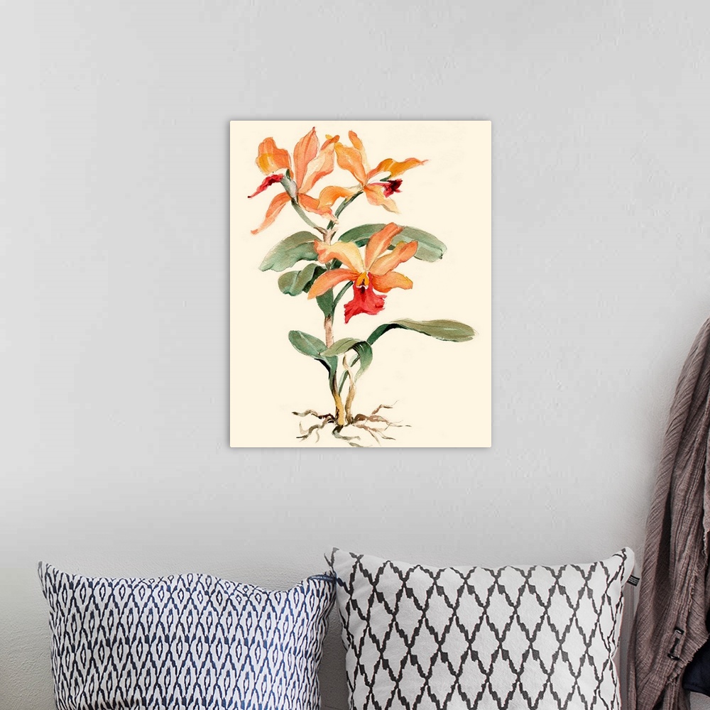 A bohemian room featuring Orange Orchid