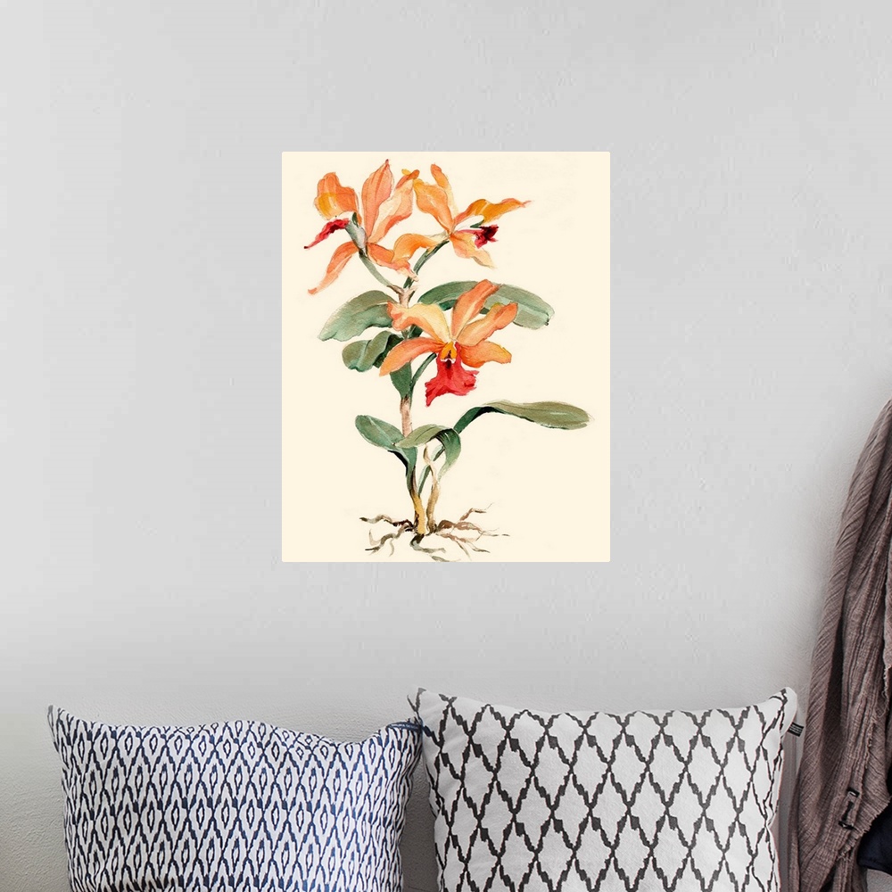 A bohemian room featuring Orange Orchid