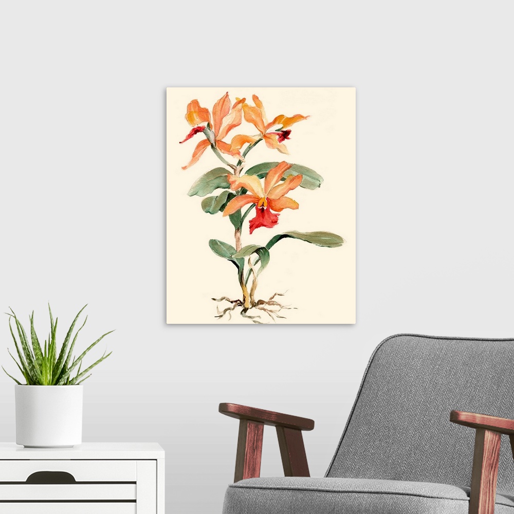 A modern room featuring Orange Orchid