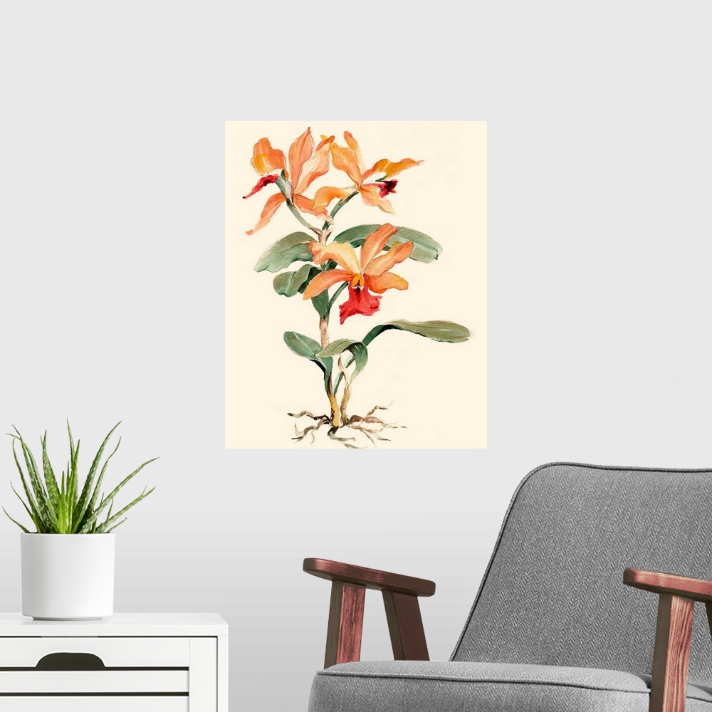 A modern room featuring Orange Orchid