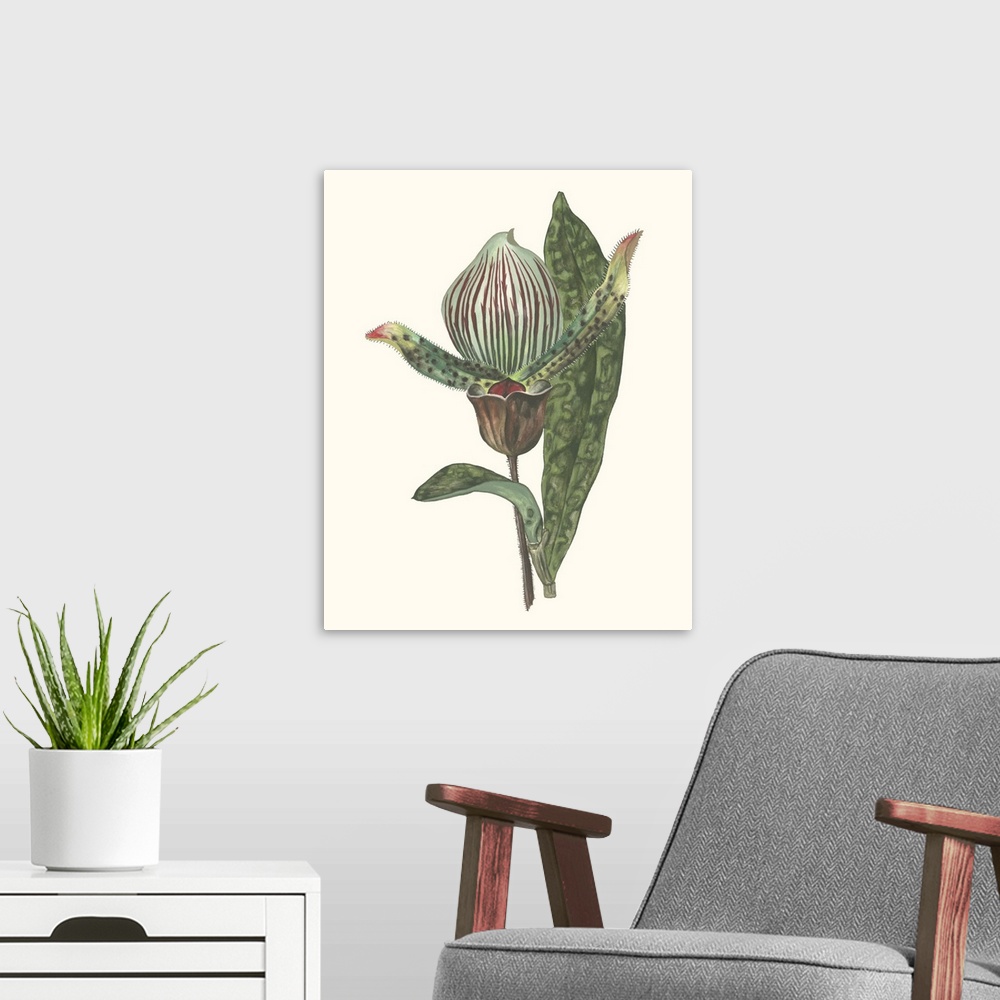 A modern room featuring Decorative artwork of an orchid in soft tones.