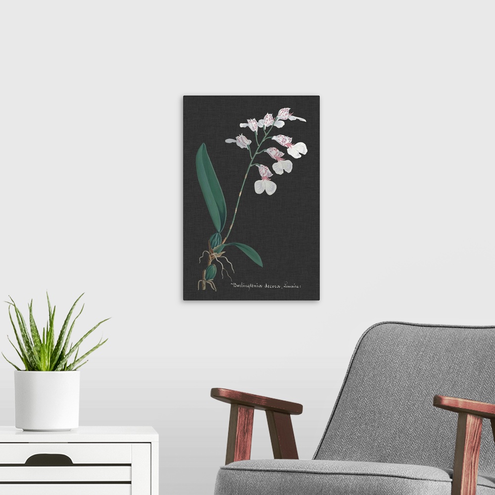 A modern room featuring Orchid on Slate VI