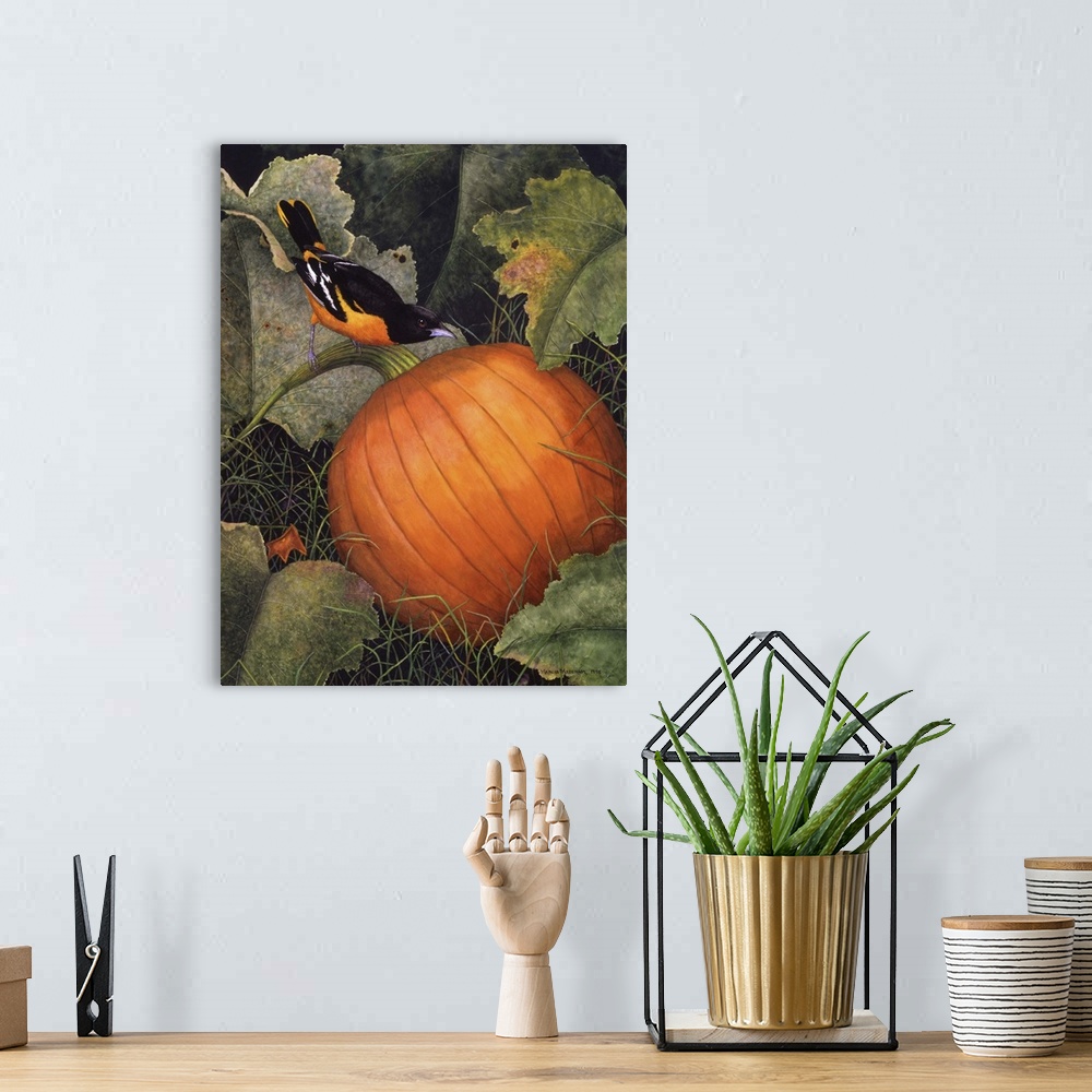 A bohemian room featuring Illustration of an oriole perched on the stem of a large, orange pumpkin.