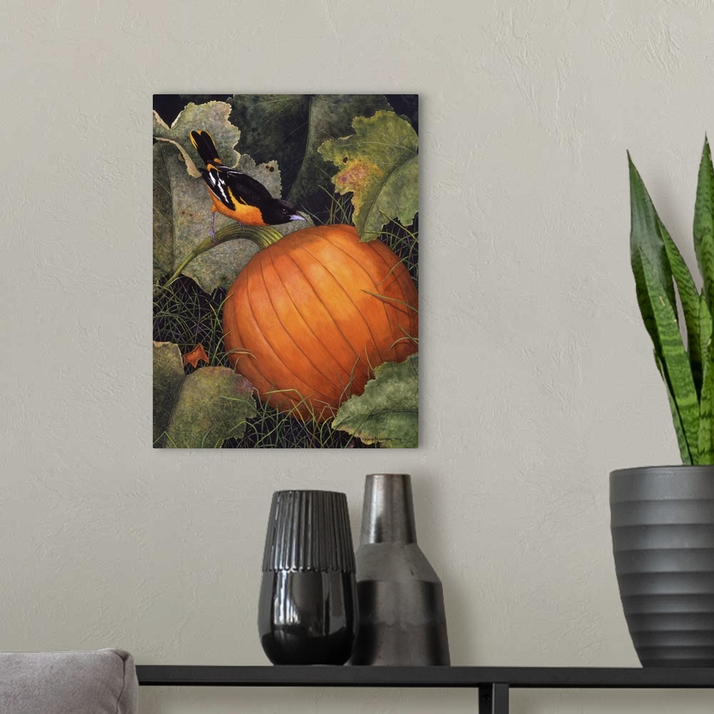 A modern room featuring Illustration of an oriole perched on the stem of a large, orange pumpkin.