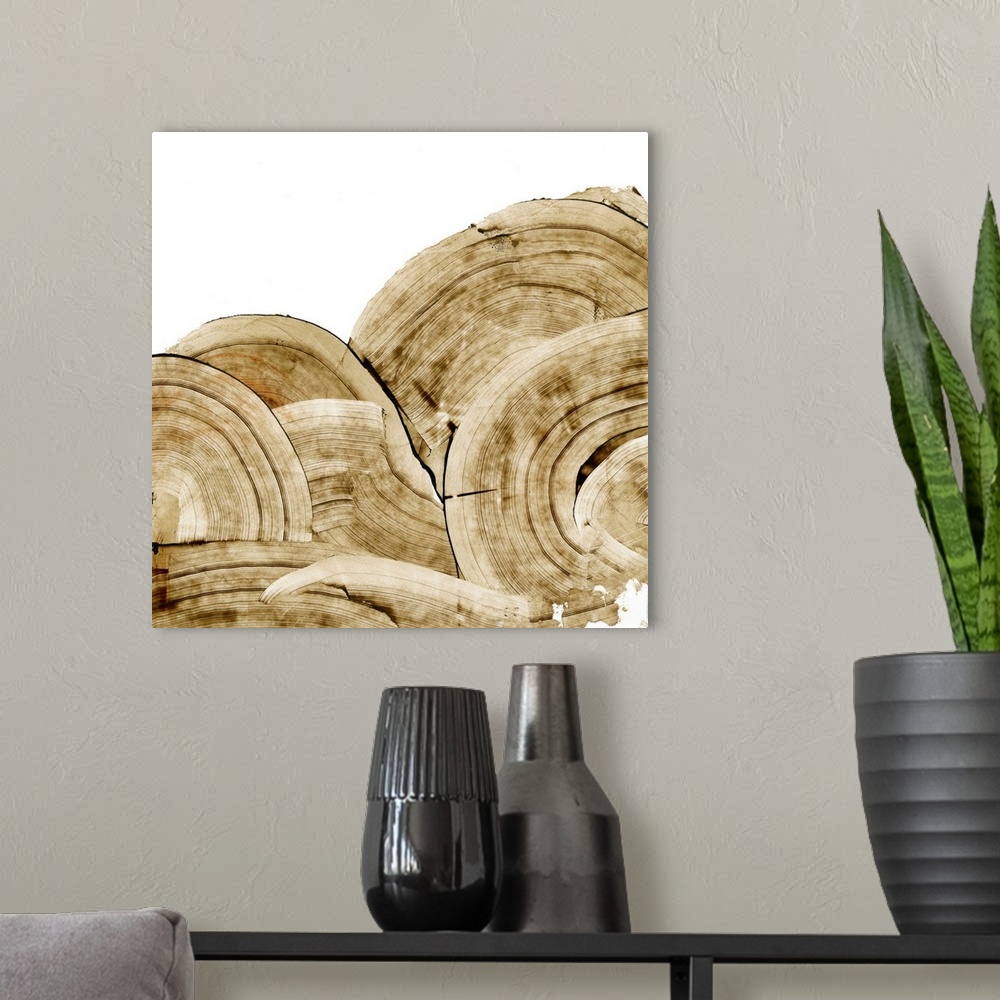 A modern room featuring Overlapping Tree Rings I