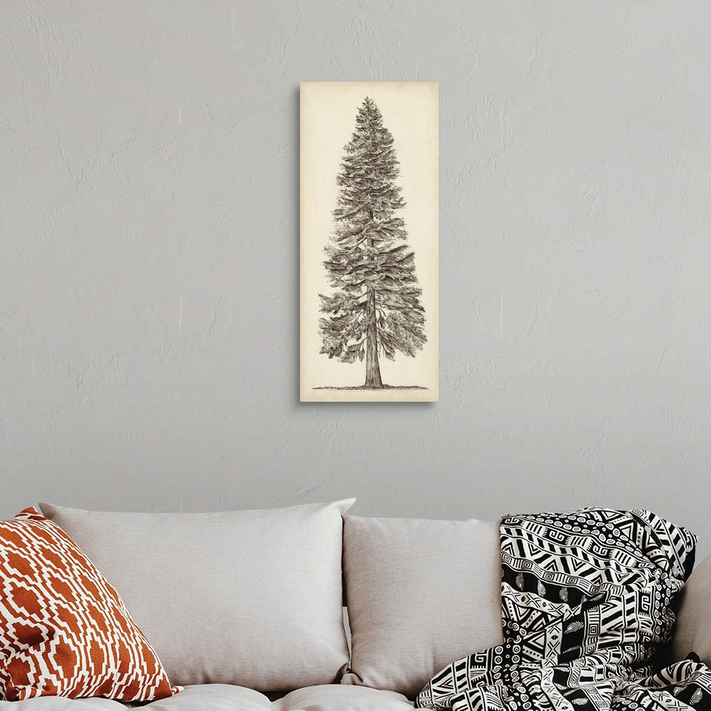 A bohemian room featuring Pacific Northwest Tree Sketch I