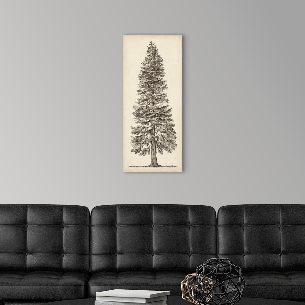A modern room featuring Pacific Northwest Tree Sketch I