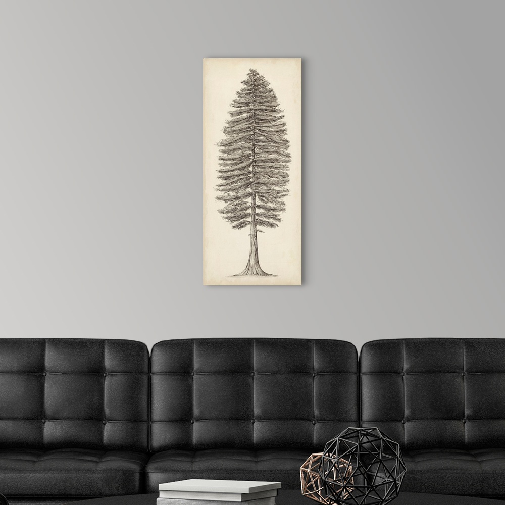 A modern room featuring Pacific Northwest Tree Sketch II