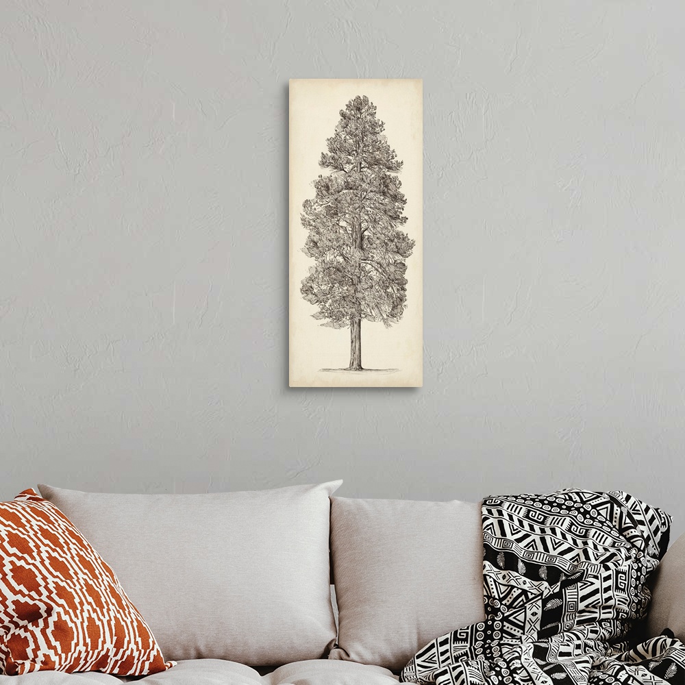 A bohemian room featuring Pacific Northwest Tree Sketch III