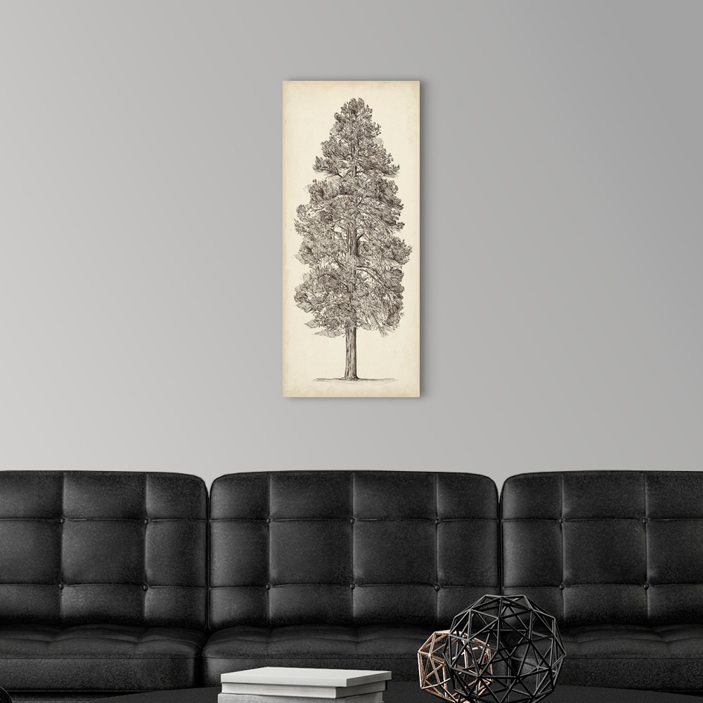 A modern room featuring Pacific Northwest Tree Sketch III