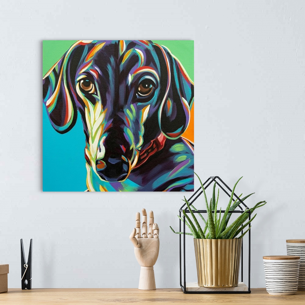 A bohemian room featuring Painted Dachshund I