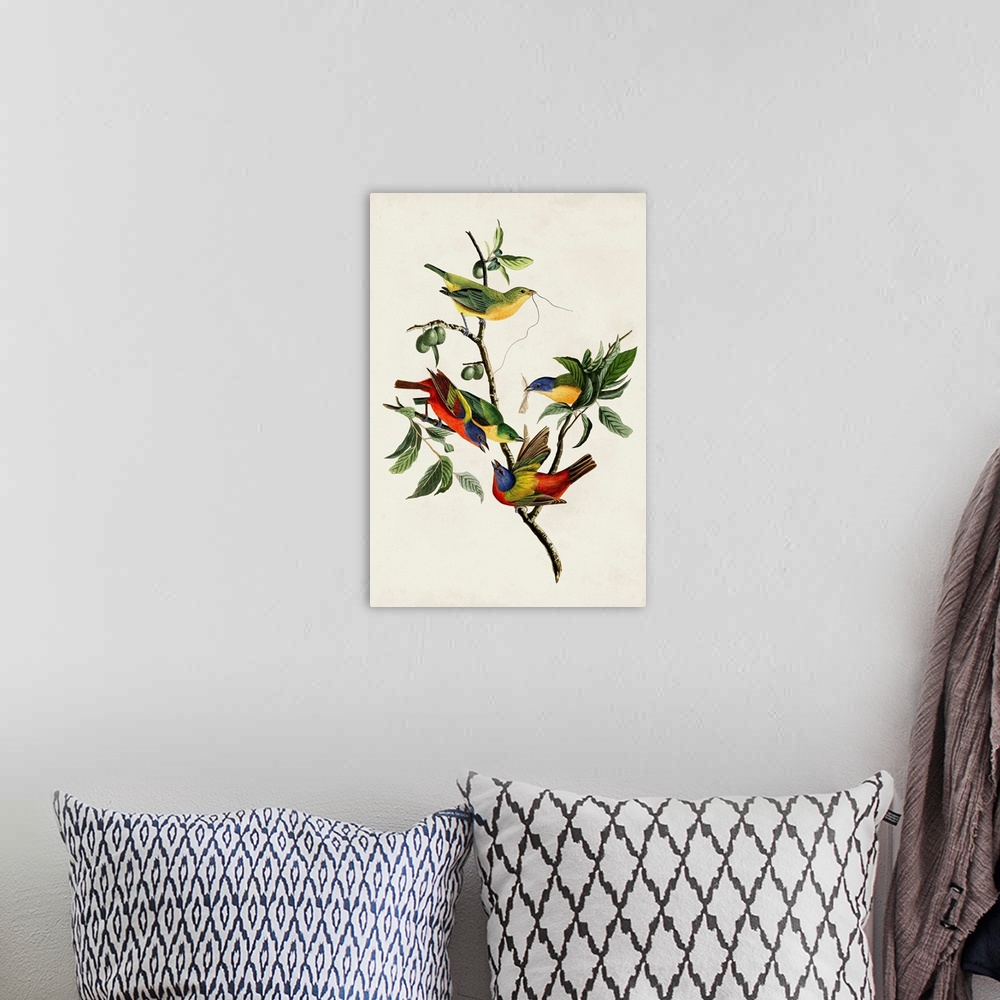 A bohemian room featuring Painted Finch