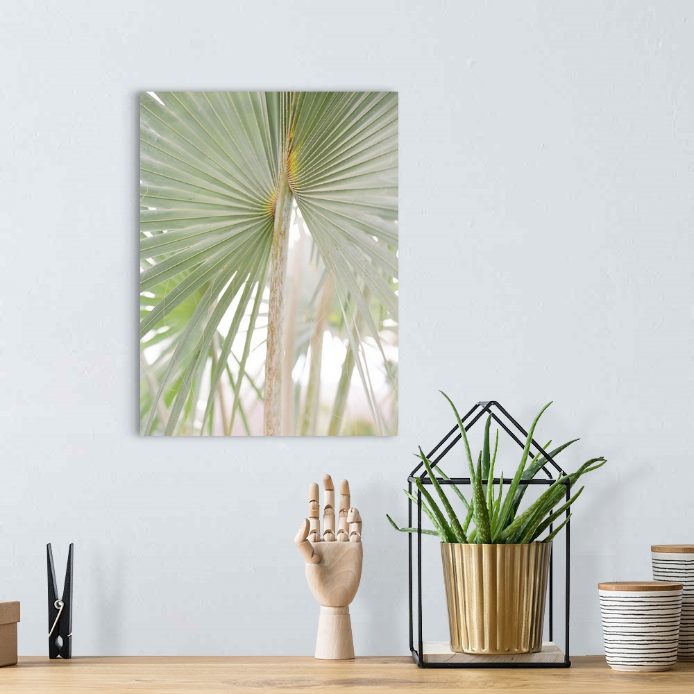 A bohemian room featuring A faded photograph of geometric palm branches.