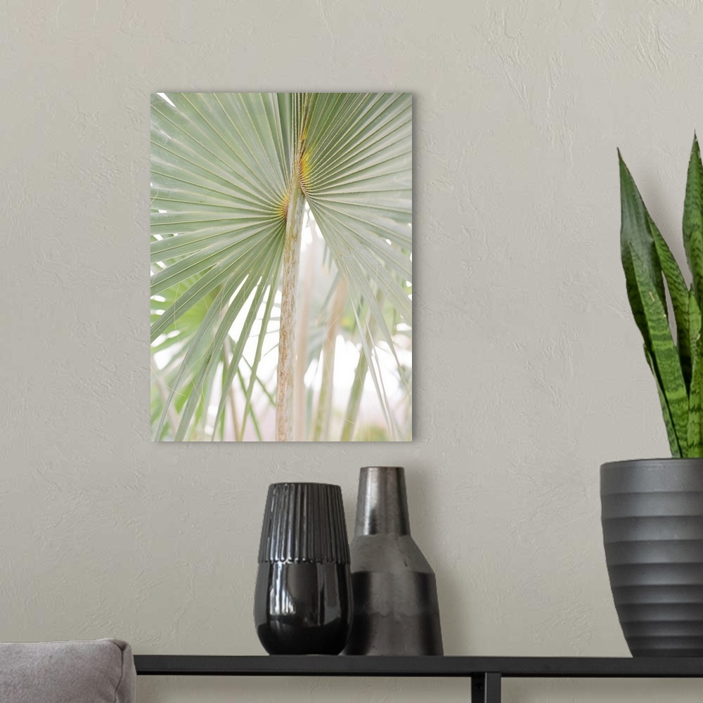 A modern room featuring A faded photograph of geometric palm branches.