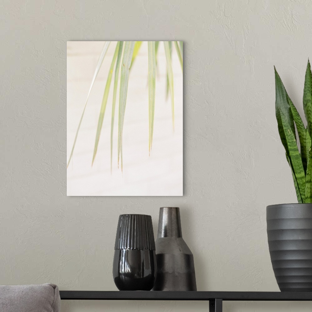 A modern room featuring A close up photograph of palm leaves against a desert background.
