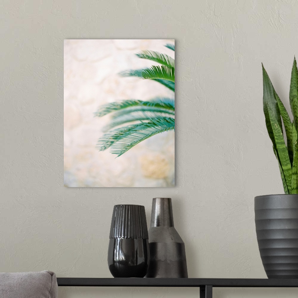 A modern room featuring A close up photograph of palm leaves against a desert background.