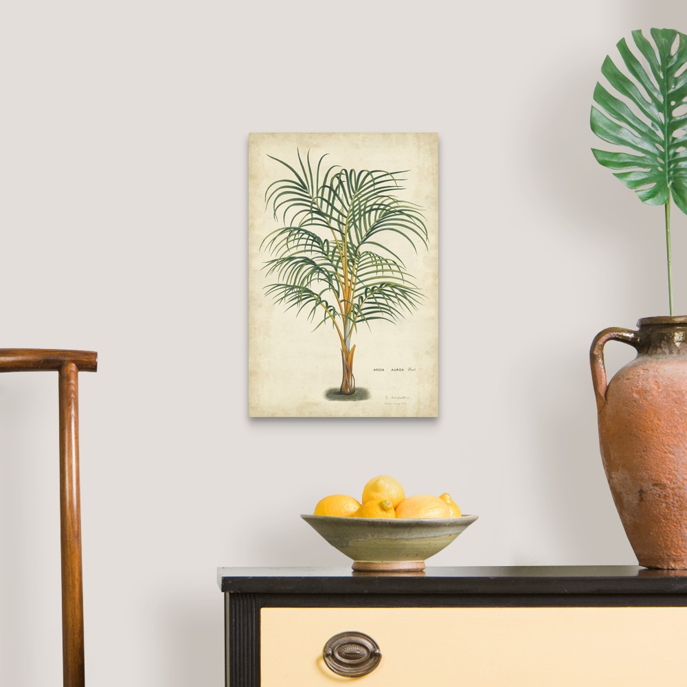 A traditional room featuring Palm of the Tropics III