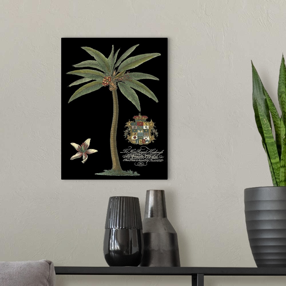 A modern room featuring Palm on Black I