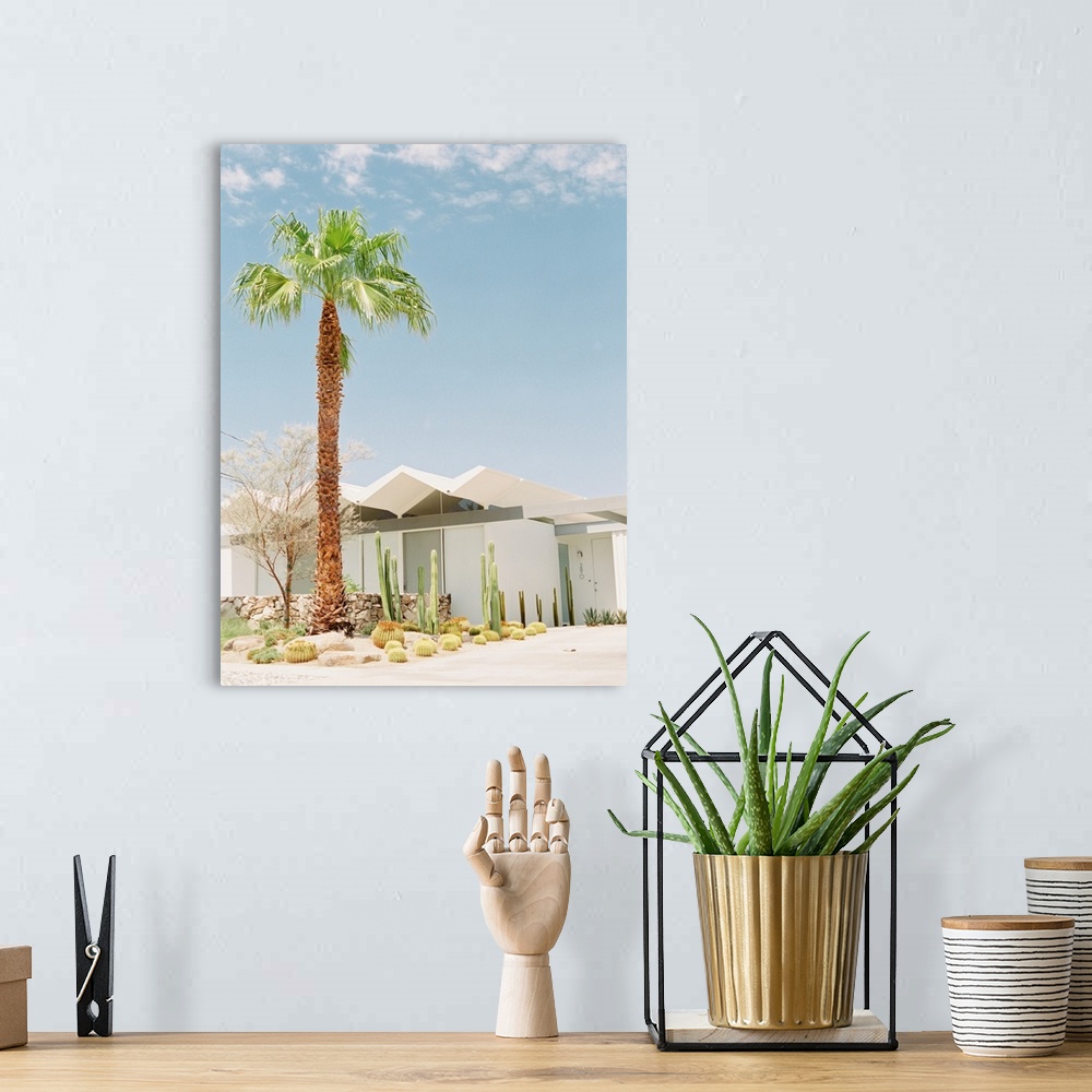 A bohemian room featuring A photograph of a tall palm tree and cacti in front of a white villa, Palm Springs, California.