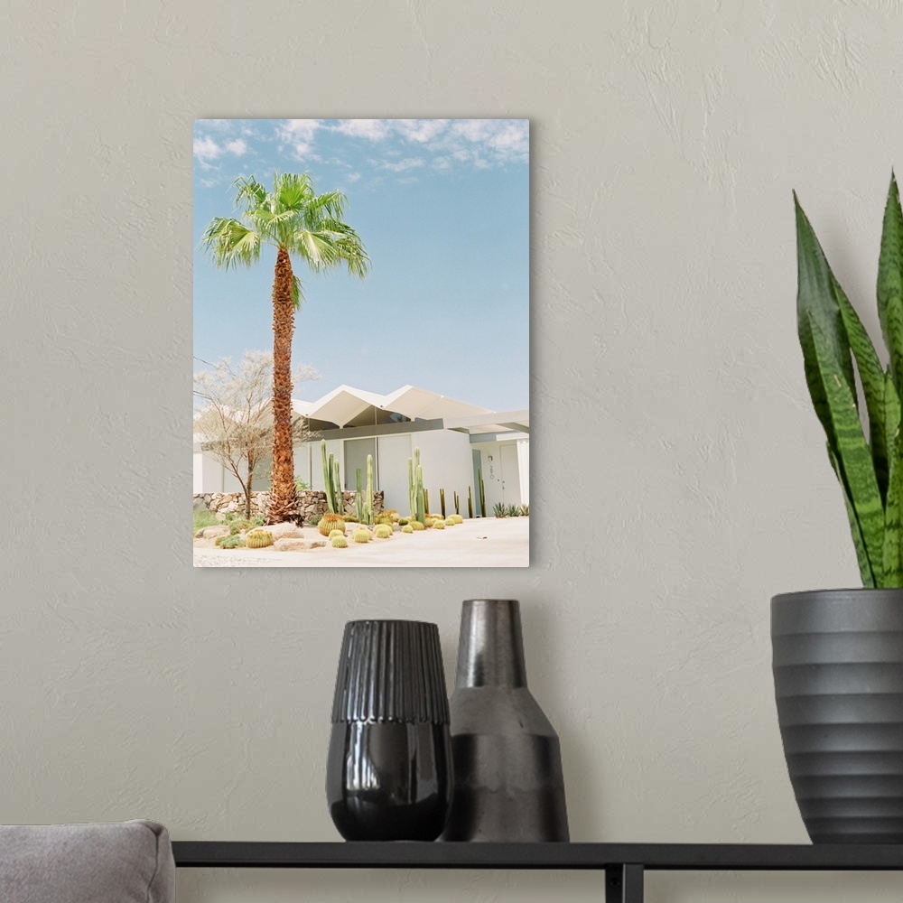 A modern room featuring A photograph of a tall palm tree and cacti in front of a white villa, Palm Springs, California.