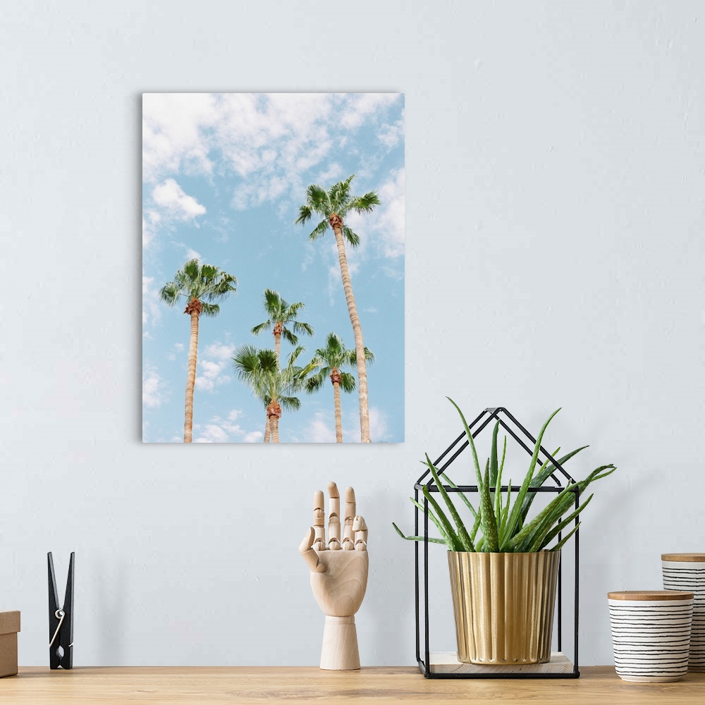 A bohemian room featuring Photograph of tall palm trees against a light blue sky with scant clouds.