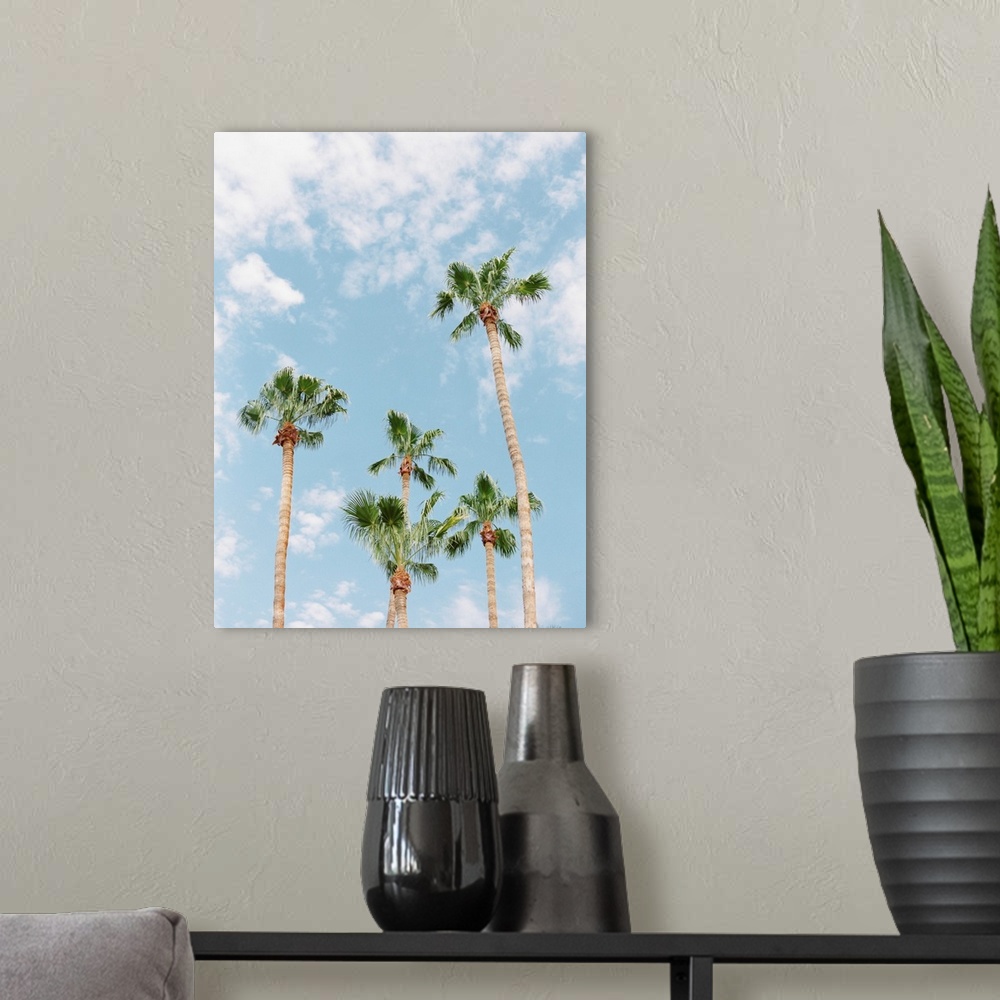 A modern room featuring Photograph of tall palm trees against a light blue sky with scant clouds.