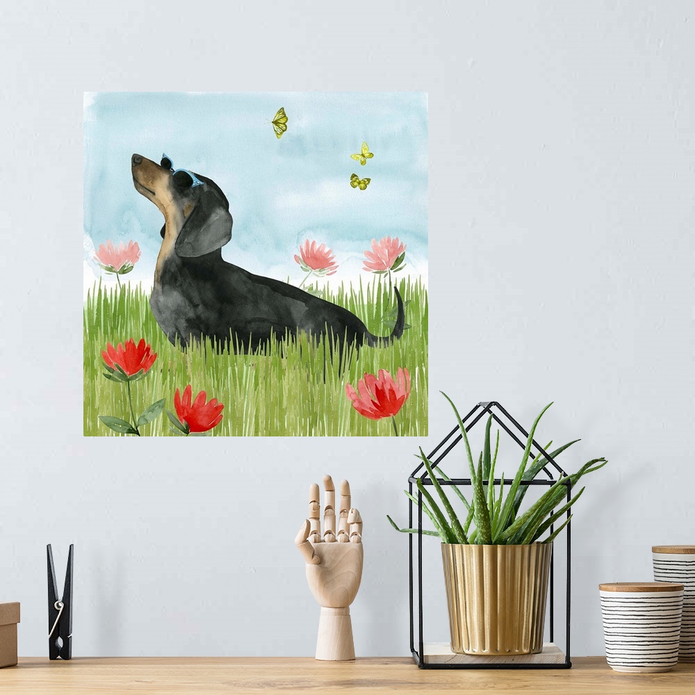 A bohemian room featuring Park Pup I