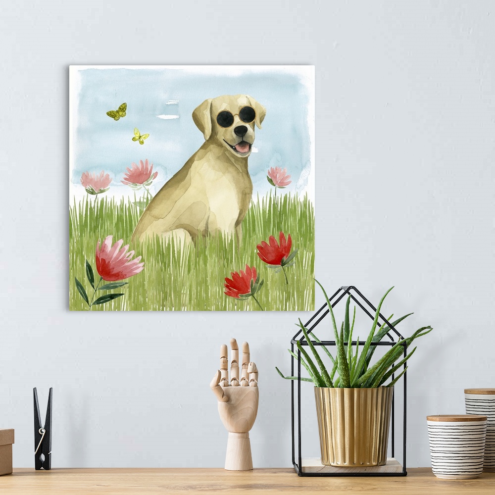 A bohemian room featuring Park Pup II