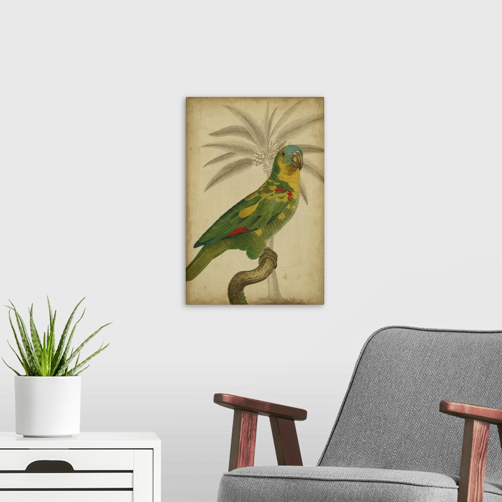 A modern room featuring Parrot and Palm II