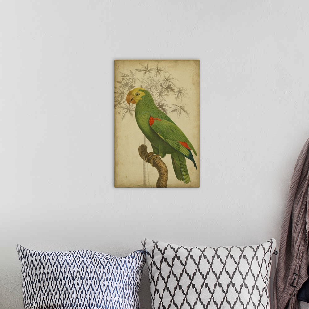 A bohemian room featuring Parrot and Palm III