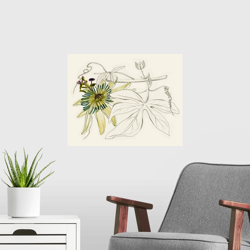 A modern room featuring Passionflower I