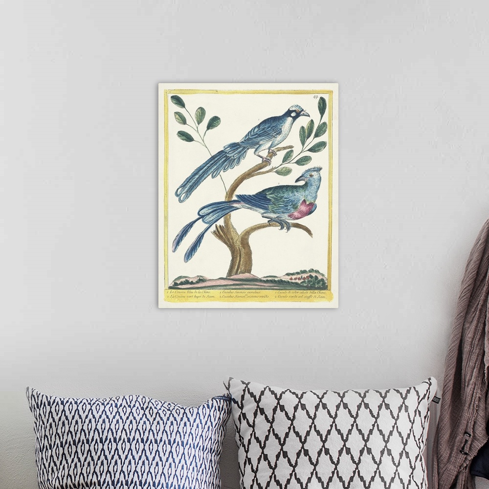A bohemian room featuring Pastel Birds VI