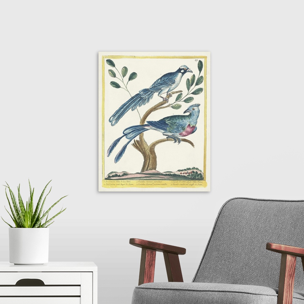 A modern room featuring Pastel Birds VI