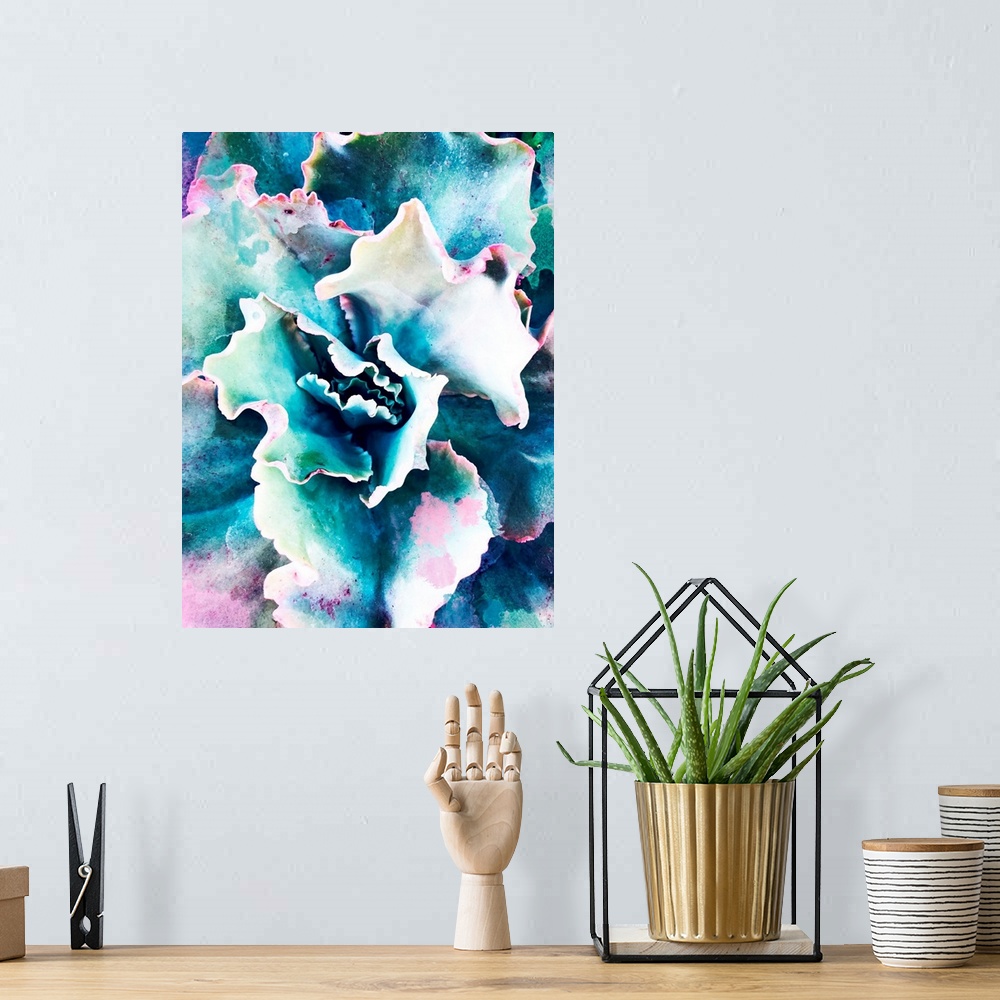 A bohemian room featuring Pastel Succulent Beauty I