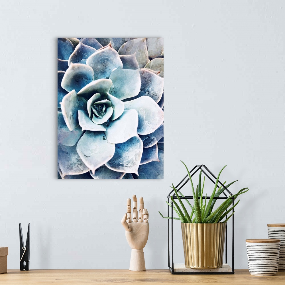 A bohemian room featuring Pastel Succulent Beauty III
