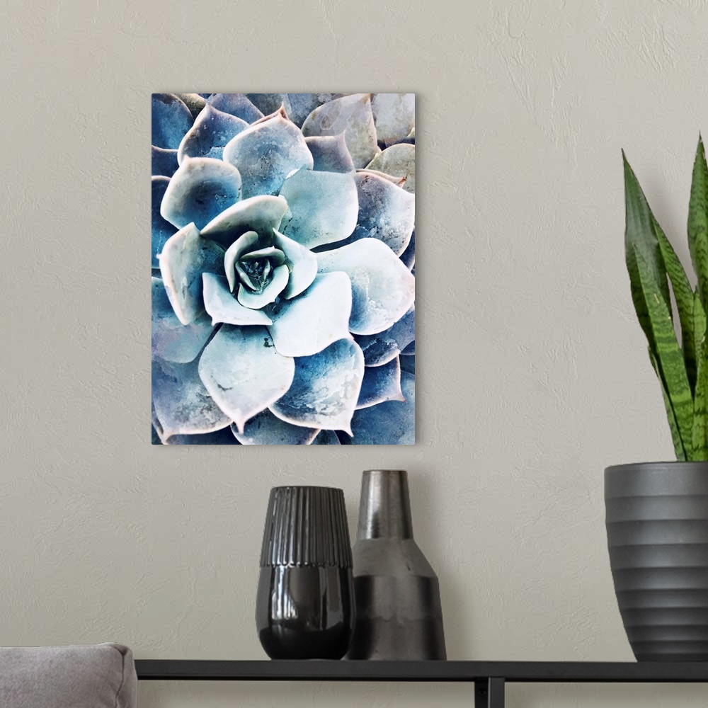A modern room featuring Pastel Succulent Beauty III